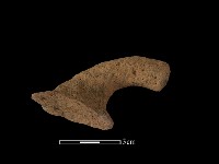 藏品(陶把)的圖片