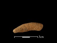 藏品(陶把)的圖片