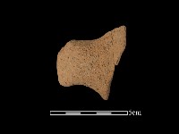 藏品(陶把)的圖片