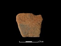 藏品(陶缽)的圖片