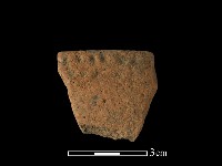 藏品(陶缽)的圖片