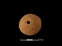 藏品(紡輪)的圖片