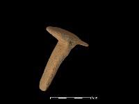 藏品(陶片)的圖片