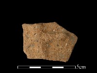 藏品(陶片)的圖片