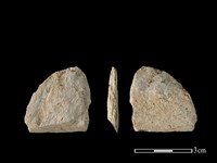 藏品(錛鑿形器)的圖片