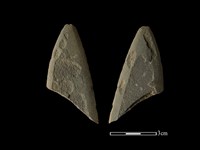 藏品(矛鏃形器)的圖片