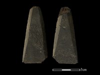 藏品(矛鏃形器)的圖片