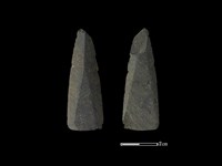 藏品(矛鏃形器)的圖片