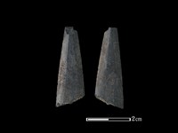 藏品(矛鏃形器)的圖片