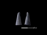 藏品(矛鏃形器)的圖片