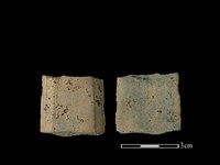 藏品(矛鏃形器)的圖片