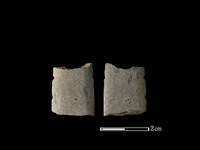 藏品(矛鏃形器)的圖片