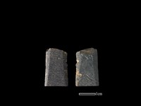 藏品(矛鏃形器)的圖片