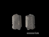 藏品(矛鏃形器)的圖片