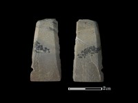 藏品(矛鏃形器)的圖片