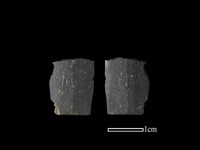 藏品(矛鏃形器)的圖片