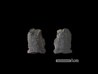 藏品(矛鏃形器)的圖片