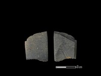 藏品(矛鏃形器)的圖片