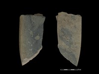 藏品(磨製斧鋤形器)的圖片