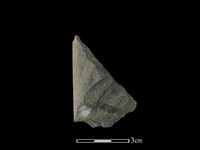 藏品(磨製斧鋤形器)的圖片