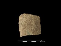 藏品(磨製有刃石器)的圖片