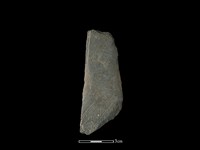 藏品(磨製有刃石器)的圖片