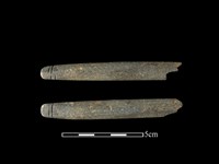 藏品(網墜)的圖片