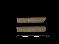 藏品(磨製石棒)的圖片