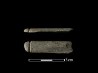 藏品(網墜)的圖片