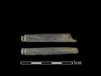 藏品(網墜)的圖片