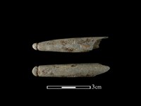 藏品(網墜)的圖片