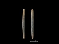 藏品(石針)的圖片