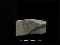 藏品(磨製斧鋤形器)的圖片