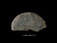 藏品(圓板形石器)的圖片