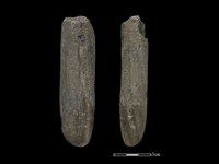 藏品(間接打擊棒)的圖片