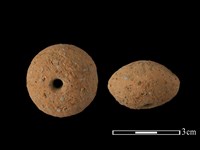 藏品(紡輪)的圖片