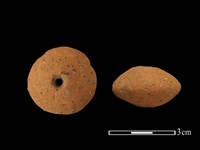 藏品(紡輪)的圖片