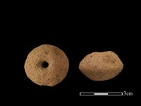 藏品(紡輪)的圖片