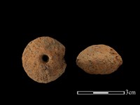 藏品(紡輪)的圖片