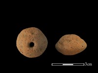 藏品(紡輪)的圖片