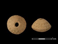 藏品(紡輪)的圖片