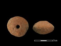 藏品(紡輪)的圖片