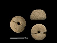 藏品(紡輪)的圖片