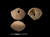 藏品(紡輪)的圖片