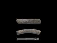 藏品(陶環)的圖片