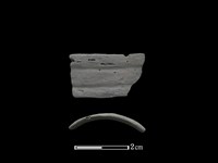 藏品(陶環)的圖片