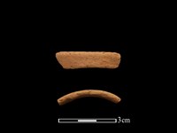 藏品(陶環)的圖片