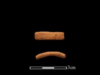 藏品(陶環)的圖片