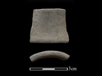 藏品(陶環)的圖片