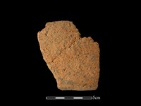 藏品(陶罐)的圖片